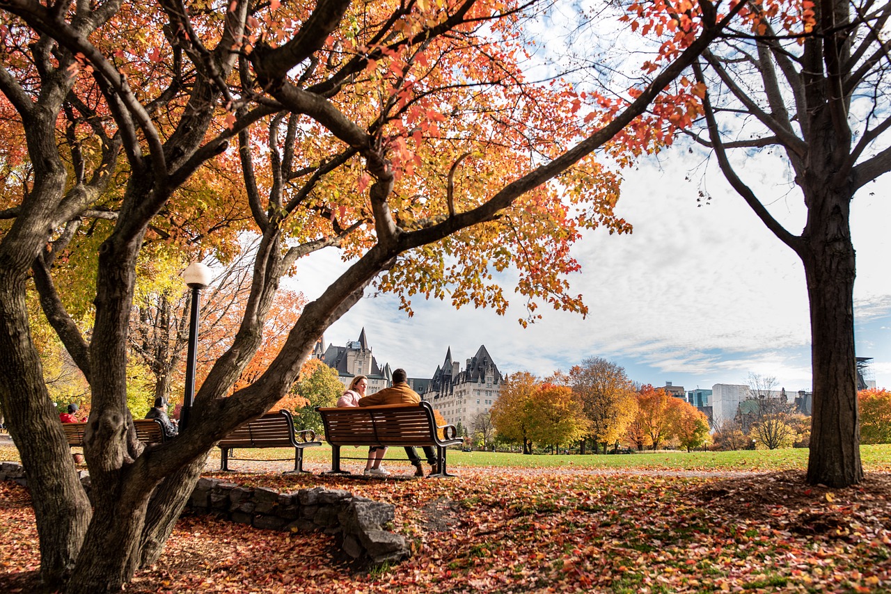 ¿Qué oportunidades de trabajo hay en Canadá?