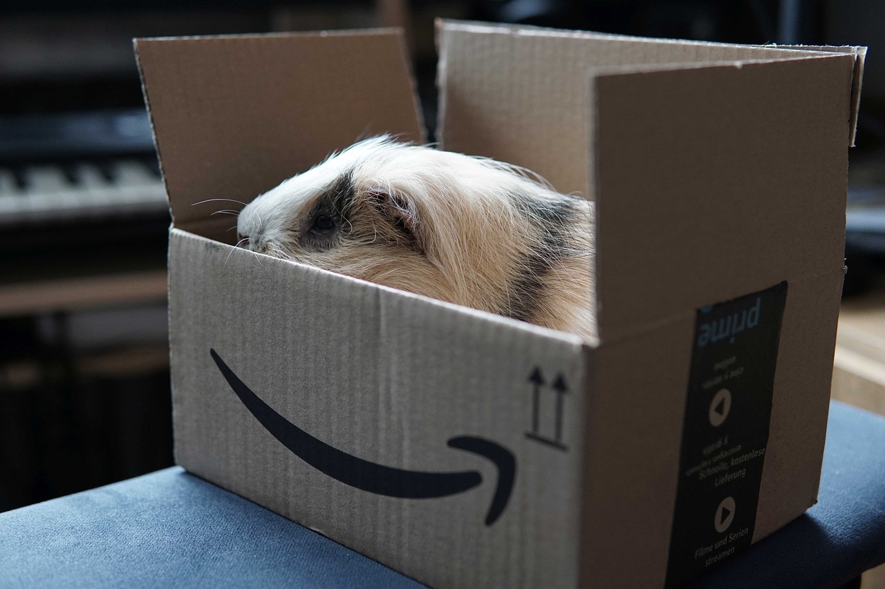¿Qué paqueteria hace envíos de mascotas?