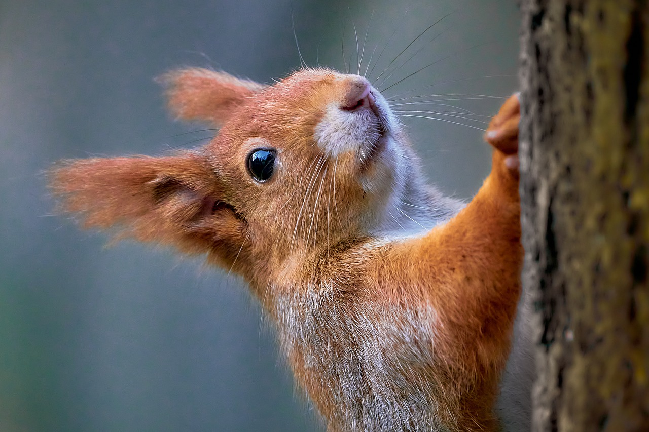 ¿Qué es ser un catador?