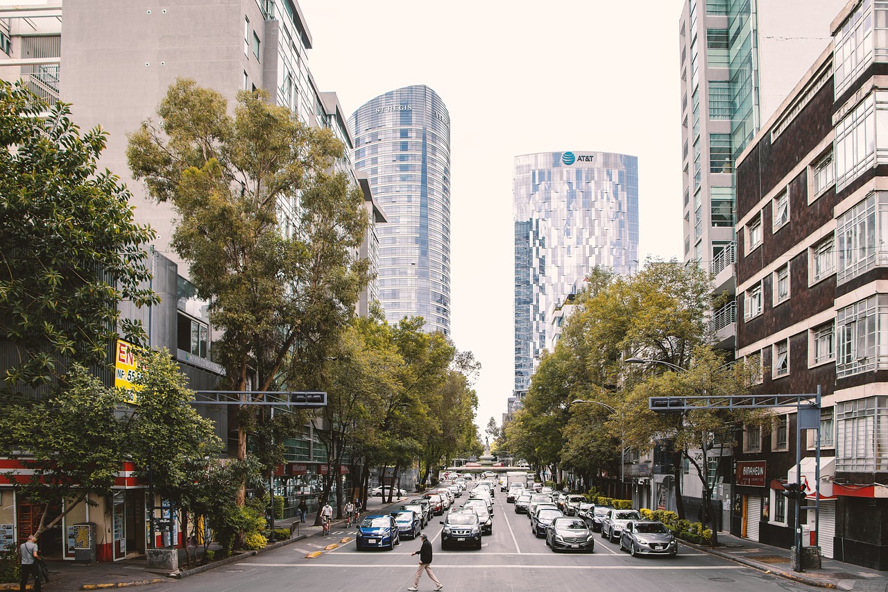 ¿Cómo se llaman los camiones morados de CDMX?